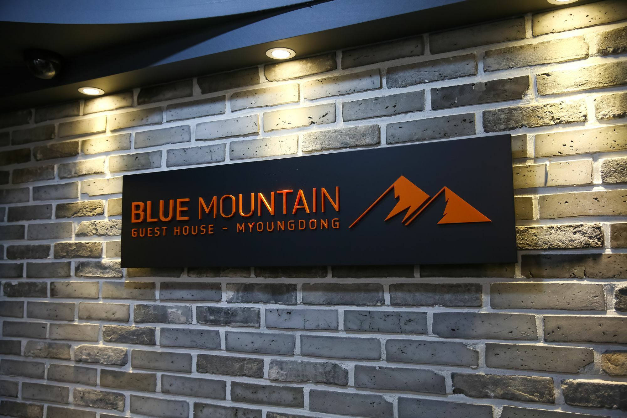 Blue Mountain Myeong-Dong Hotel Seoul Eksteriør billede