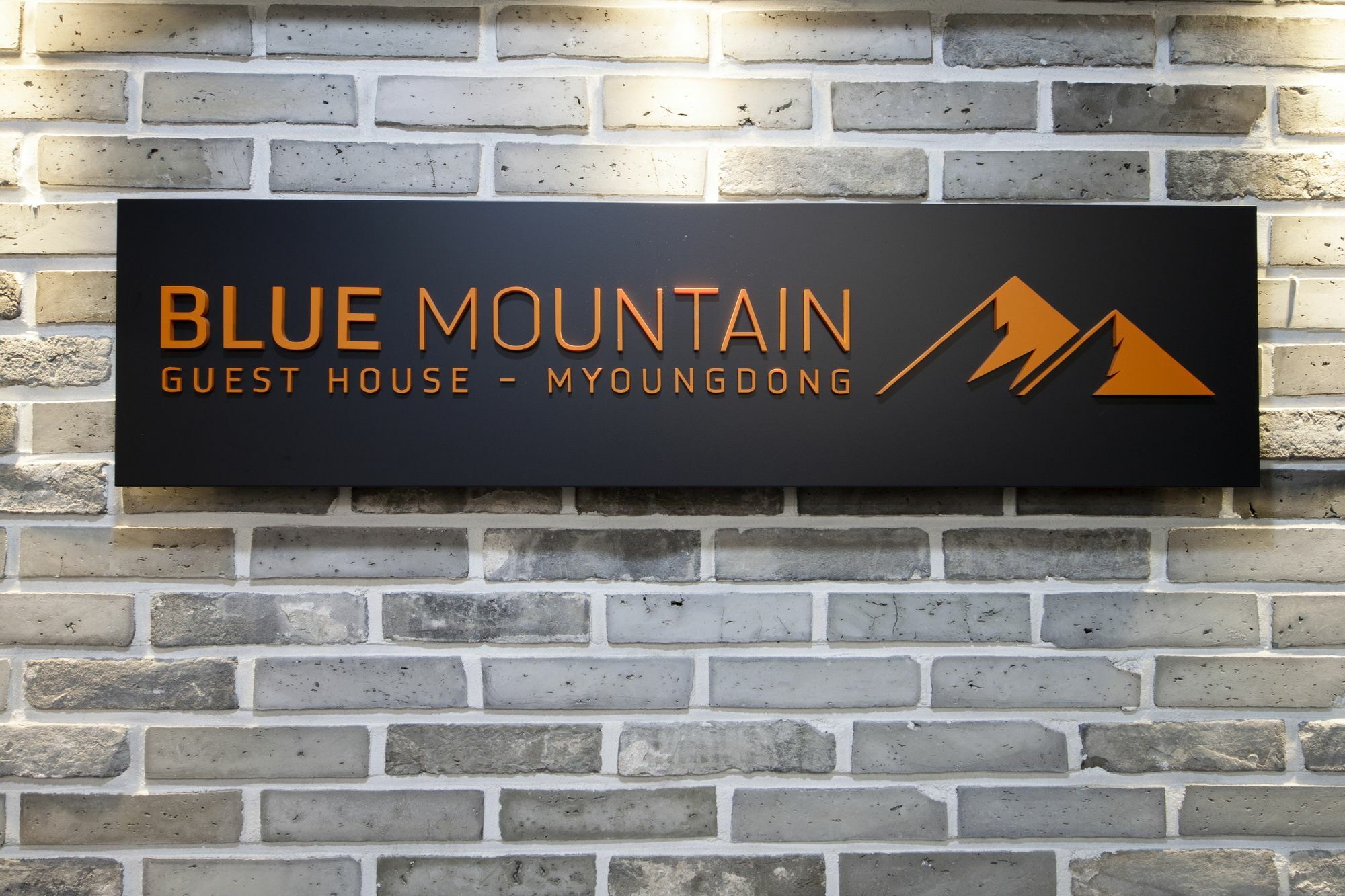 Blue Mountain Myeong-Dong Hotel Seoul Eksteriør billede